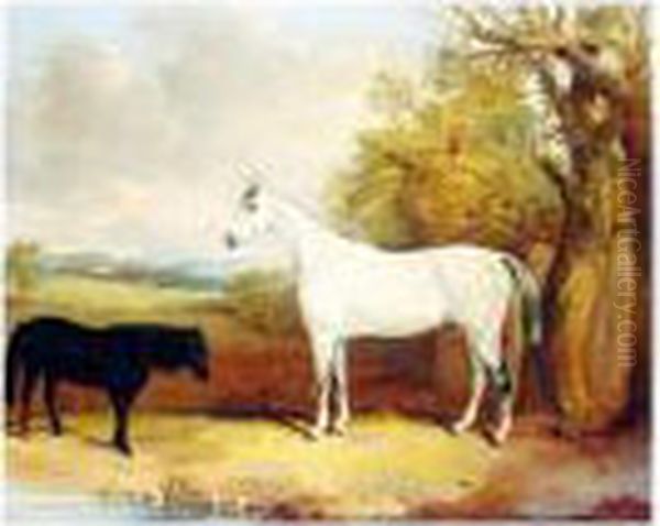 The Baron, A Dapple Grey Hunter, With Tom Thumb, A Black Pony, In A Field Oil Painting by Thomas W. Bretland