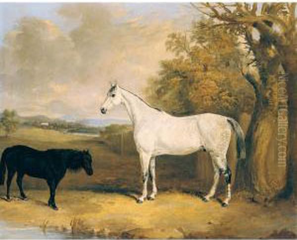 The Baron, A Dapple Grey Hunter, With Tom Thumb, A Black Pony, In A Field Oil Painting by Thomas W. Bretland