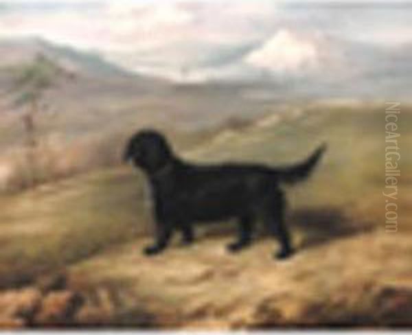 'romp',an Irish Water Spaniel In A Landscape Oil Painting by Thomas W. Bretland