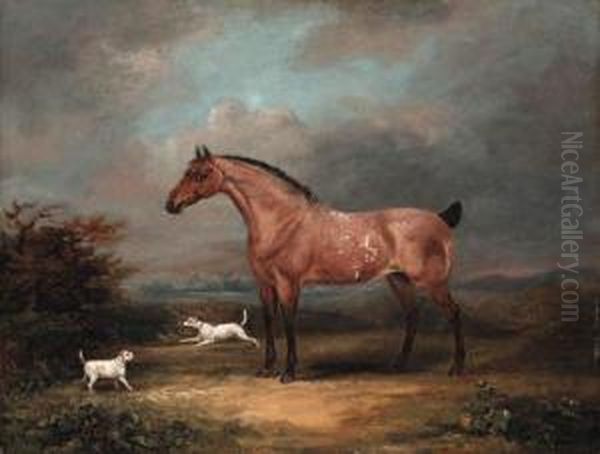 A Roan Horse And Dogs In A Landscape Oil Painting by Thomas W. Bretland