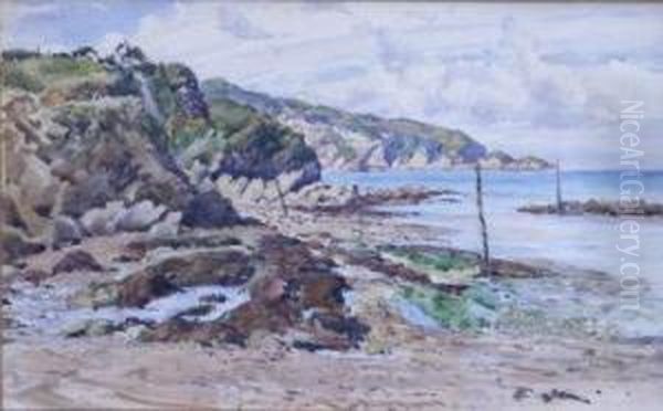 Rocky Coastline. Oil Painting by John Edward Brett