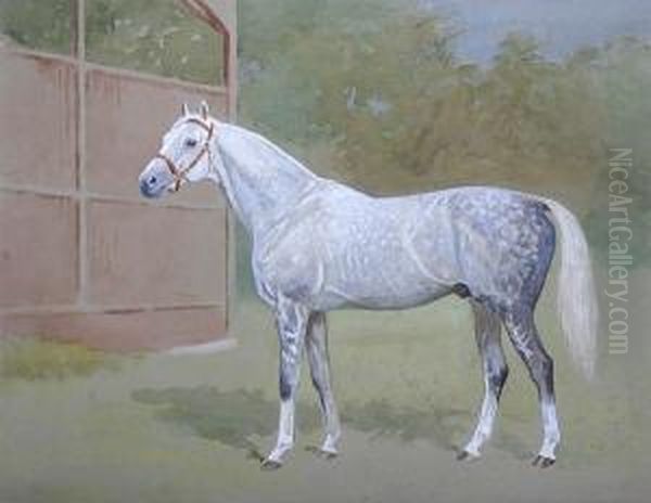 A Dappled Grey Racehorse In A Paddock, Thought To Be Owned By The Duke Of Westminster Oil Painting by Alfred Bright