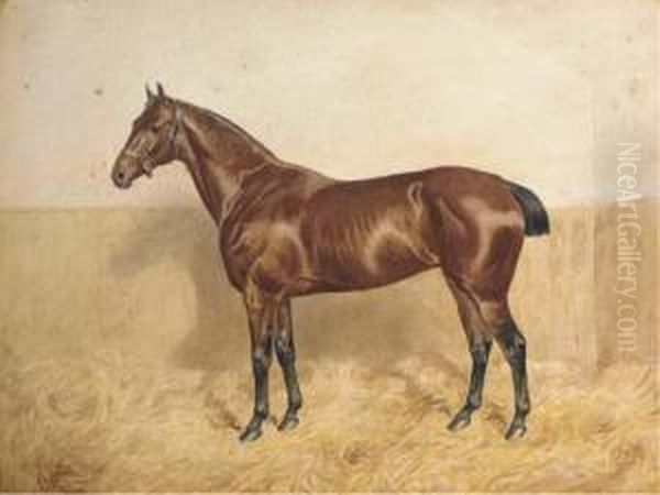 Polly, A Bay Horse In A Stable Oil Painting by Alfred Bright