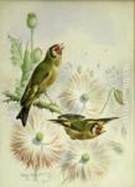 Goldfinches And Bullfinches Oil Painting by Harry Bright