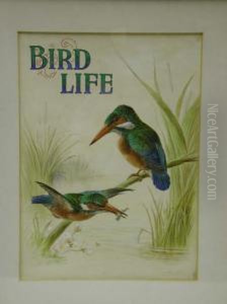 Bird Life Oil Painting by Harry Bright