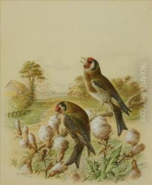 A Pair Of Goldfinchesin A Landscape Oil Painting by Harry Bright