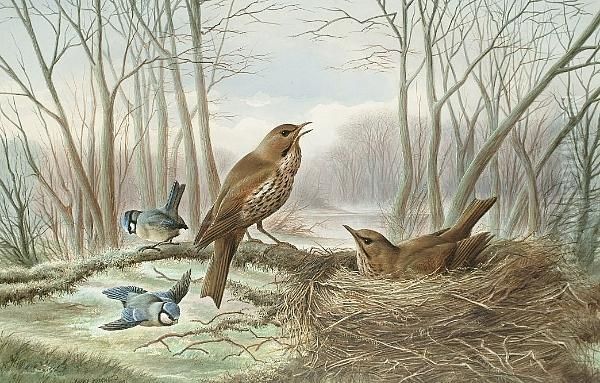 The Herald Of Spring Oil Painting by Harry Bright