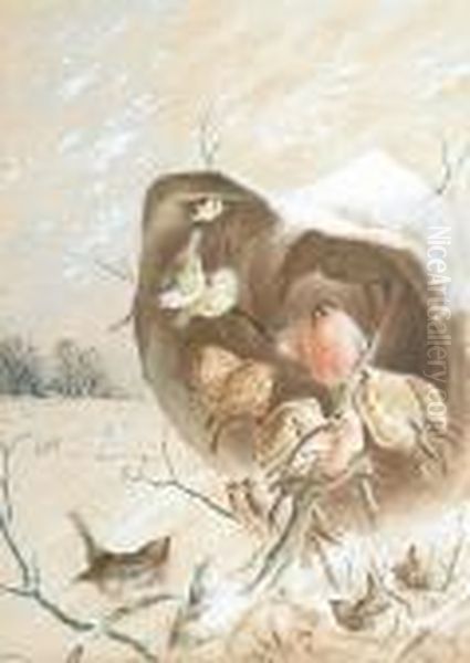 Garden Birds Taking Refuge From The Snow Oil Painting by Harry Bright