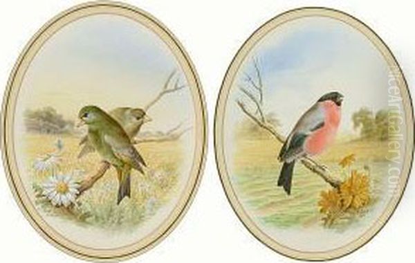 'greenfinches' And 'bullfinch' Oil Painting by Harry Bright