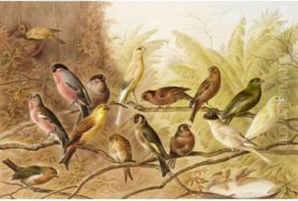 The Aviary Oil Painting by Harry Bright