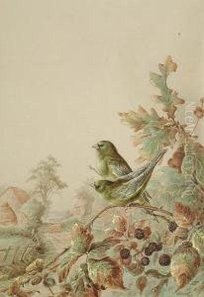 Greenfinches On A Bramblebush Oil Painting by Harry Bright