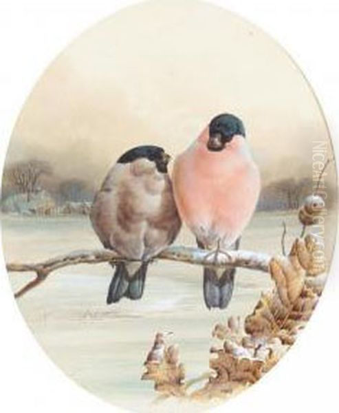 Bullfinches On A Winter's Day Oil Painting by Harry Bright