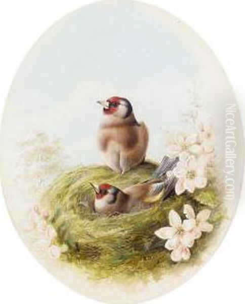 Goldfinches Oil Painting by Harry Bright