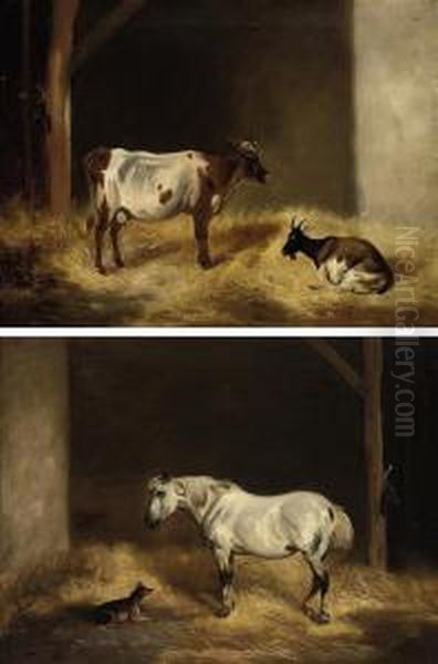 A Cow And Goat In Astable Oil Painting by Edmund Bristow