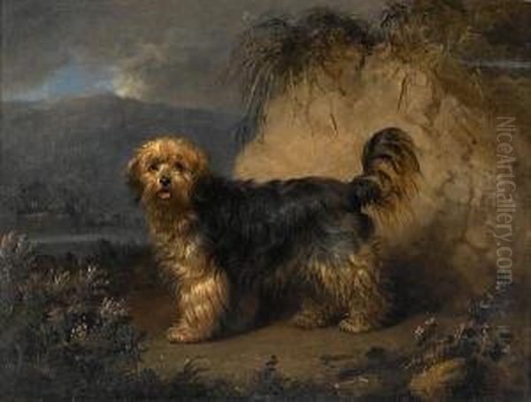 A Bearded Collie In A Landscape Oil Painting by Edmund Bristow