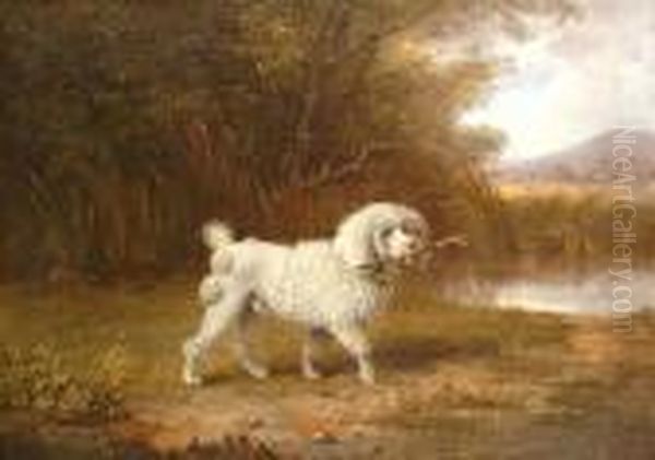 A Poodle In A Landscape. Oil Painting by Edmund Bristow