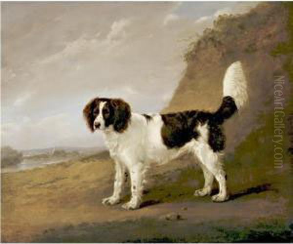 Spaniel Oil Painting by Edmund Bristow