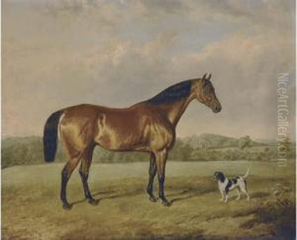 A Bay Hunter With A Terrier In An Extensive Landscape Oil Painting by Edmund Bristow