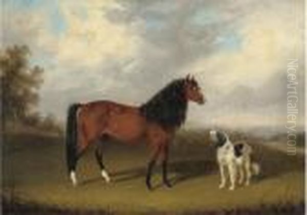 A Grey With A Dog In A Parkland;
 And A Chestnut Horse With A Dog Inan Extensive Landscape Oil Painting by Edmund Bristow