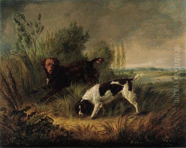 Spaniels In A Wooded River Landscape Oil Painting by Edmund Bristow