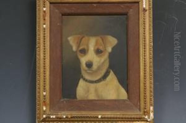 A Pair, Jack Russell Terriers, Head And Shoulders Oil Painting by Charles Edward Snr Brittan