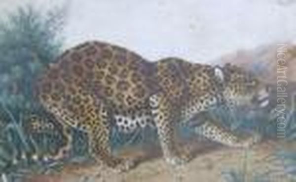 A Leopard Oil Painting by Charles Edward Snr Brittan