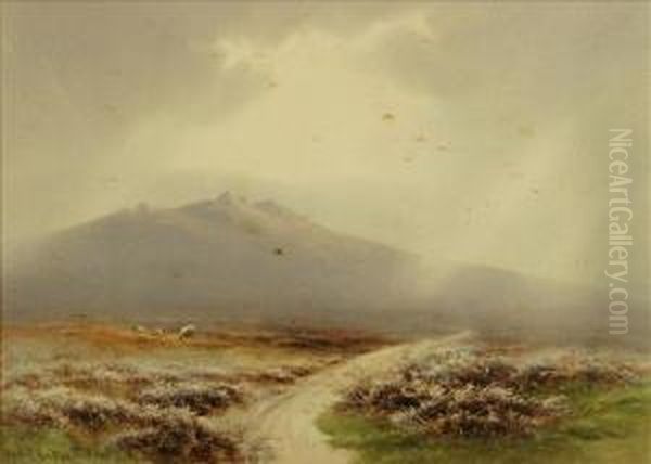 W.trowlesworthy, Dartmoor Oil Painting by Charles Edward Ii Brittan