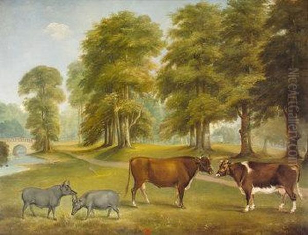 Cattle And Wild Boar In Parkland Setting Oil Painting by William Brocas