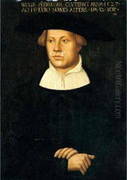 Portrait Of Wolff Fuerleger, Aged 32, Halflength, Wearing An Embroidered Black Coat Oil Painting by Hans Brosamer