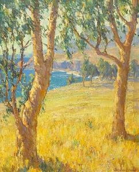 Eucalypti Near Arch Beach, California Oil Painting by Benjamin Chambers Brown