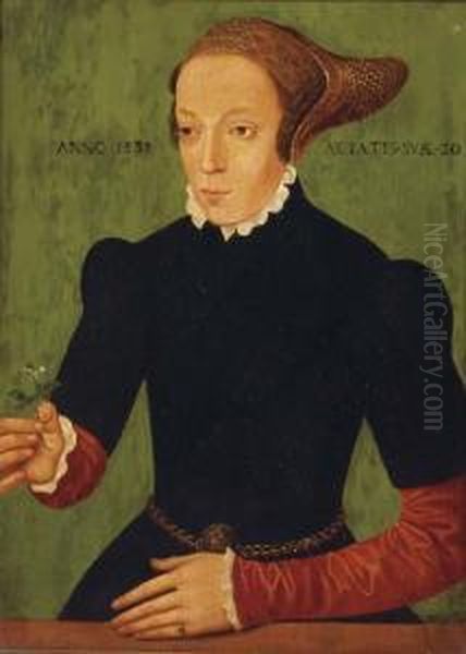 Portrait Of A Lady Oil Painting by Bartholomaeus I Bruyn