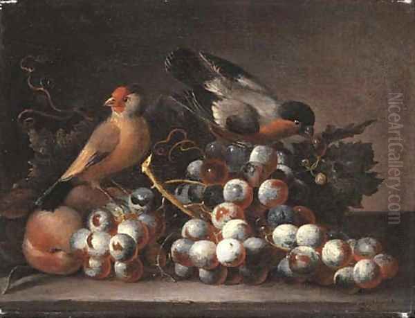 Grapes on the vine and peaches with two finches on a ledge Oil Painting by Jacob Bogdani