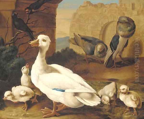 A duck with ducklings, pigeons and swifts before a ruined wall Oil Painting by Jacob Bogdani