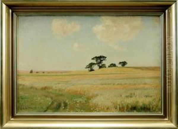 Weitemecklenburgische Landschaft Mit Kornfeld Unter Hohemsommerhimmel Oil Painting by Franz Bunke