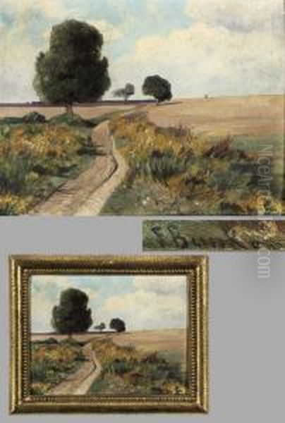 Weite Mecklenburgische Landschaft Oil Painting by Franz Bunke