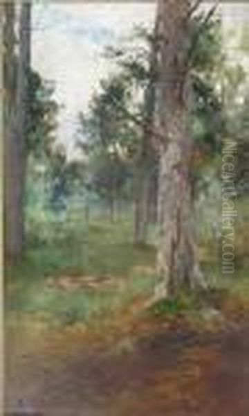 Deeside Forest Oil Painting by Thomas Bunting