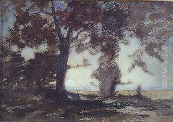 Sunrise Through The Trees Oil Painting by Robert Burns