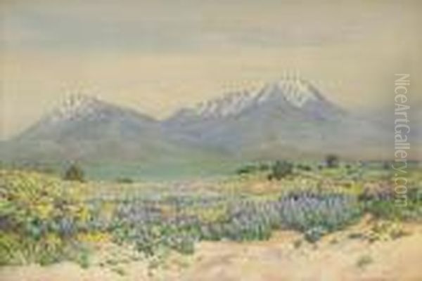 Spanish Peaks At Midday Oil Painting by George Elbert Burr