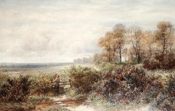 Tom Knocker's Wood, The Hilly Fields,harborne, Birmingham Oil Painting by Charles Thomas Burt