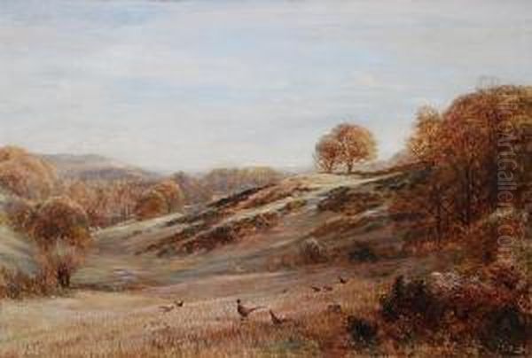 Pheasants In A Wooded Landscape 'c. T. Burt 1892' Oil Painting by Charles Thomas Burt