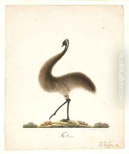 The Emu Oil Painting by Richard Browne