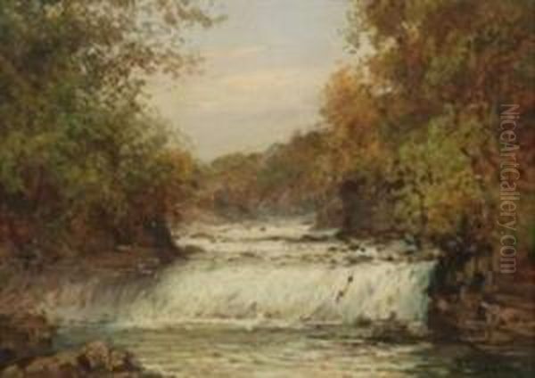 Cascate Presso Le 
Cacce Reali Oil Painting by Giuseppe Buscaglione