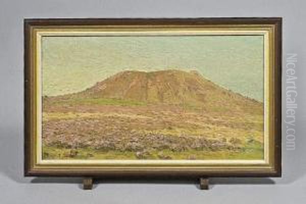 Vue D'un Volcan Oil Painting by Maurice Busset