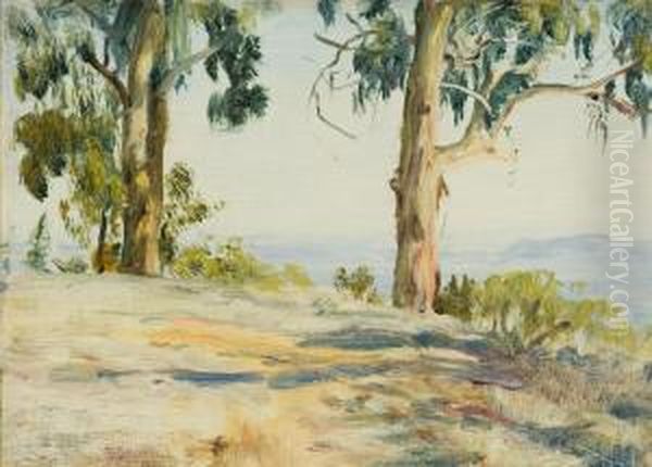 Montecito Vista Oil Painting by Howard Russell Butler