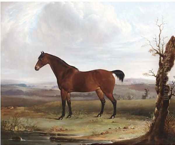 A bay hunter in an extensive landscape Oil Painting by James Barenger