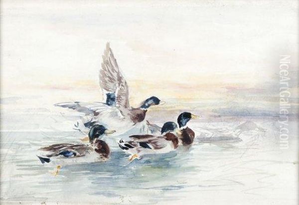 Les Canards Oil Painting by Joseph Cabasson