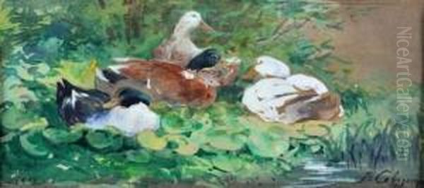 Les Canards. Oil Painting by Joseph Cabasson