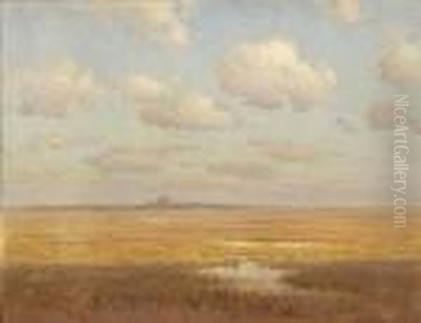 American, - Cape Cod Marsh by Charles Drew Cahoon