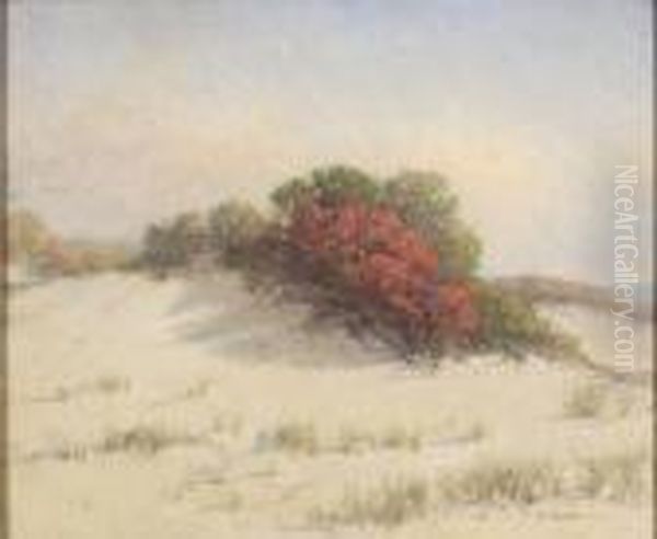 Dune Scene With Beachplum And Bayberry Bushes. by Charles Drew Cahoon