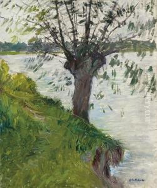 Saule Au Bord De La Riviere Oil Painting by Gustave Caillebotte